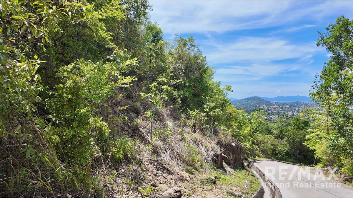  Image 6