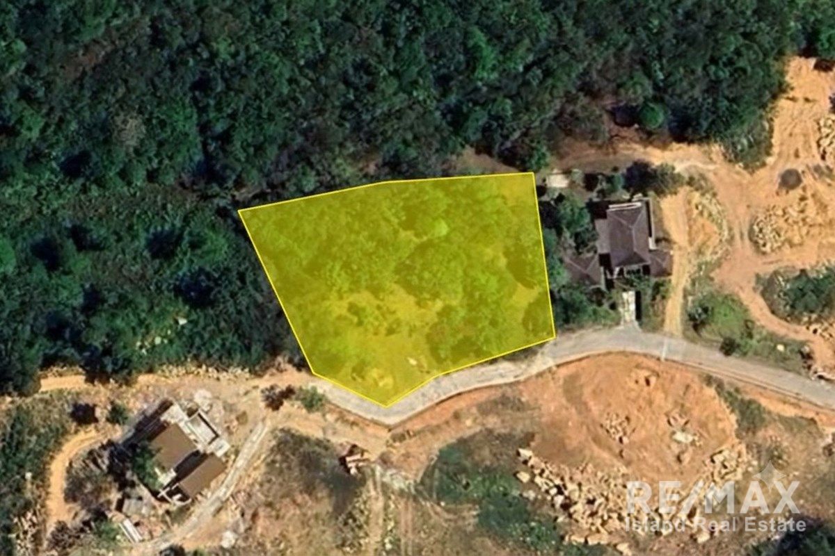  Image 4