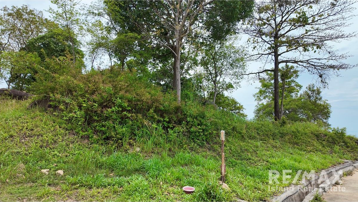  Image 6