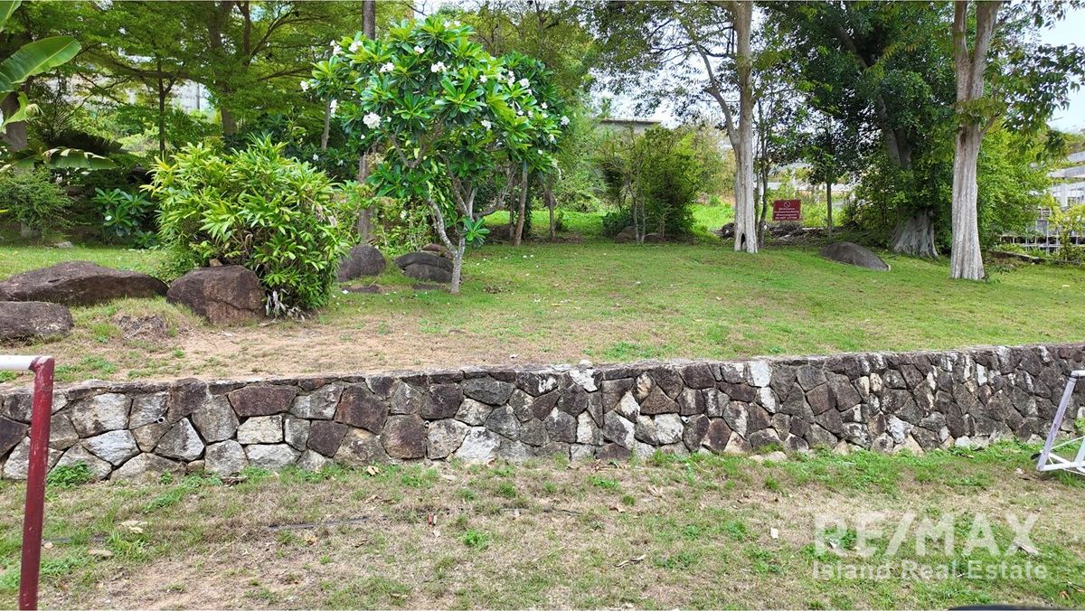  Image 4