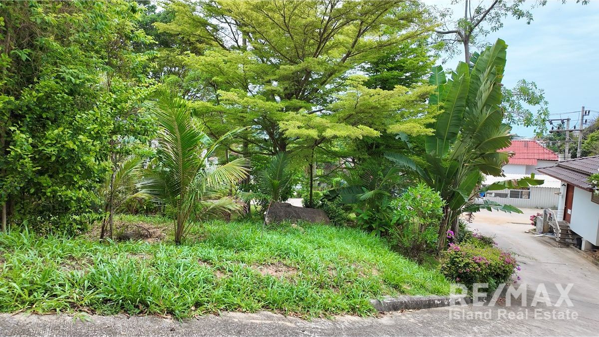  Image 6