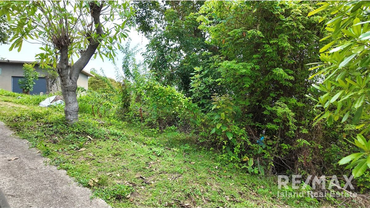  Image 6