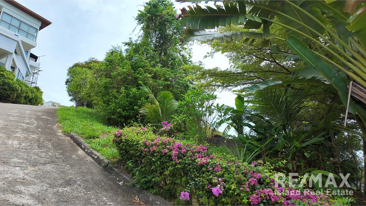  Image 7