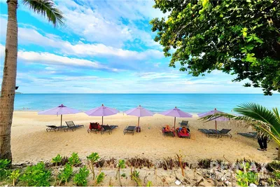 4-star-beachfront-hotel-for-sale-in-koh-samui-rs018-218