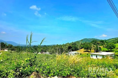 beautiful-land-for-sale-in-maenam-soi-1-koh-samui-plot-c9-rs018-283r