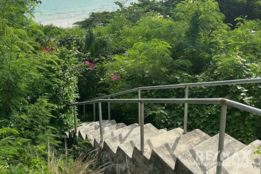  Image 12