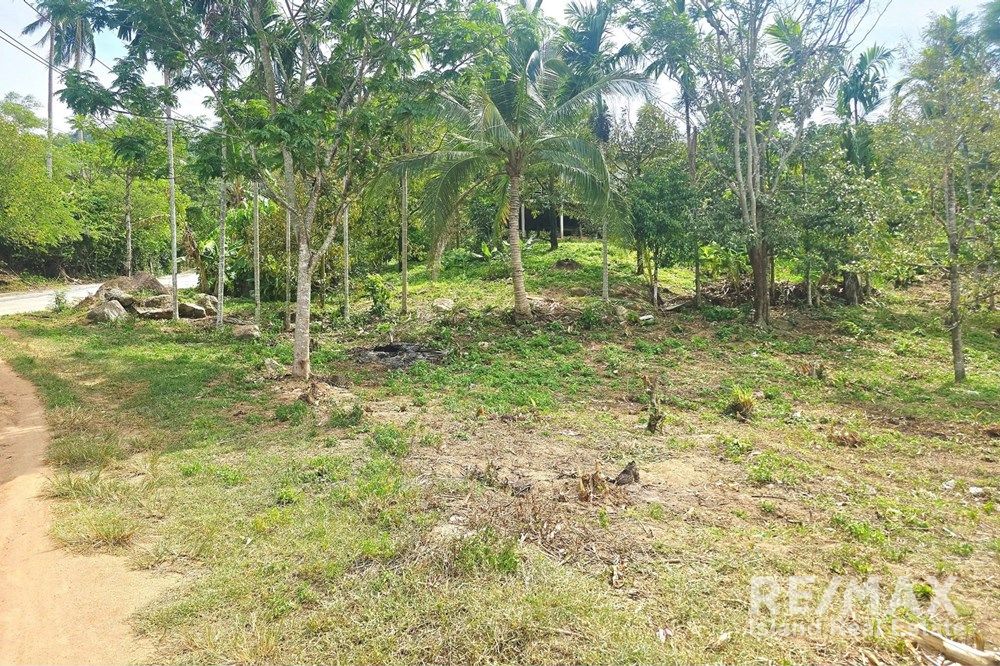  Image 11