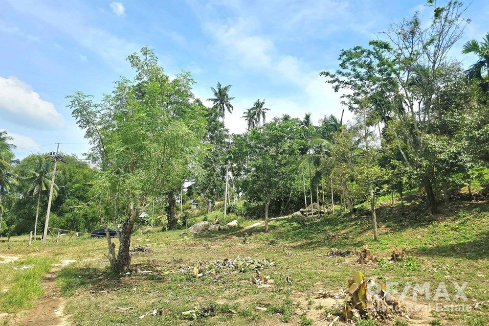  Image 19