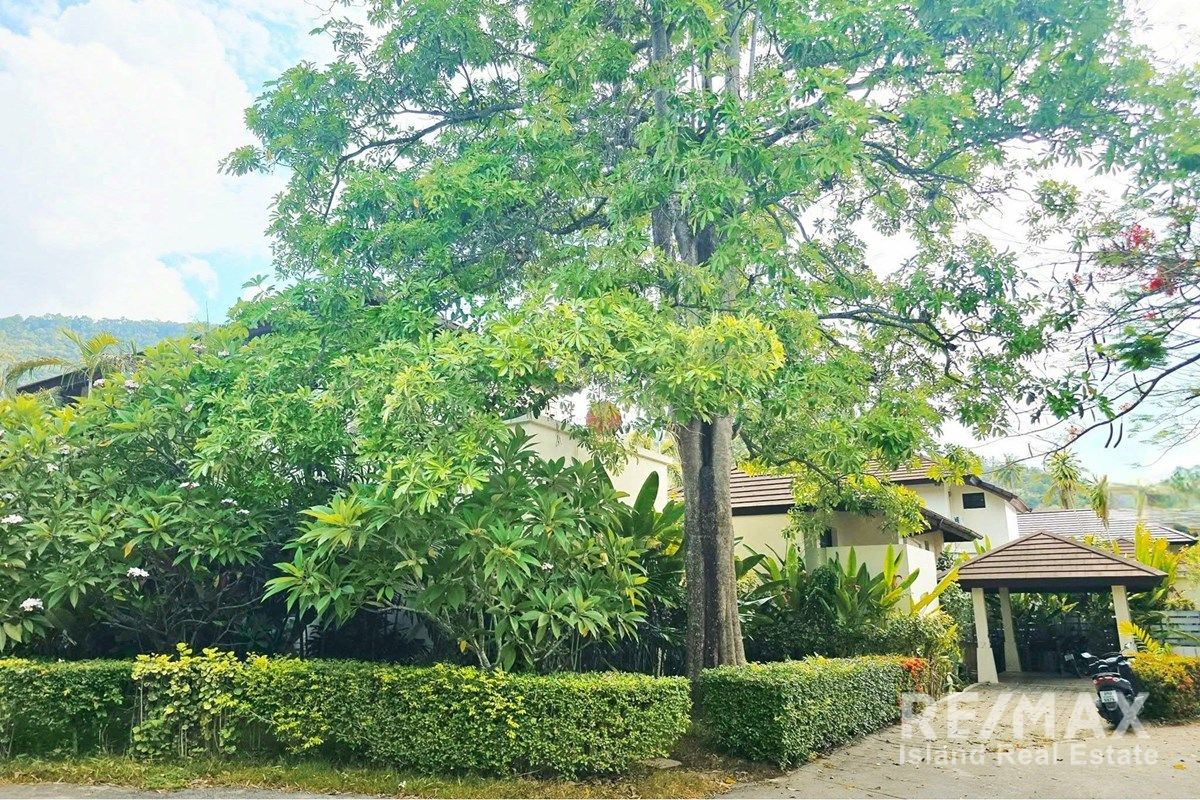 Image 4
