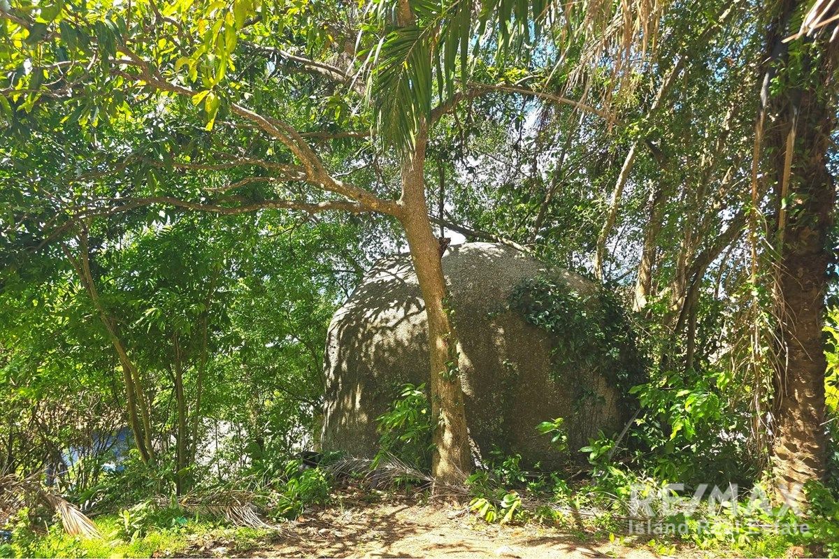  Image 23