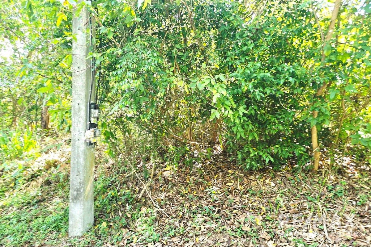  Image 6