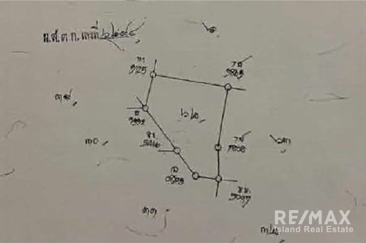  Image 8