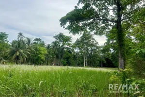 a5-plot-of-flat-land-for-sale-near-the-beach-in-taling-ngam-koh-samui-920121030-210