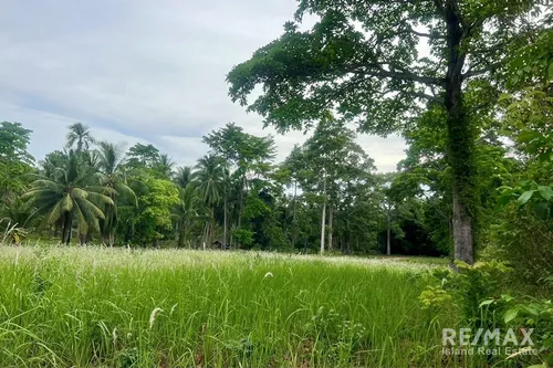 a5-plot-of-flat-land-for-sale-near-the-beach-in-taling-ngam-koh-samui-ad030-210