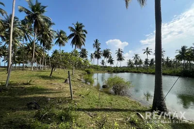 exceptional-beachfront-land-with-natural-water-source-just-50-meters-to-the-shore-ad030-258