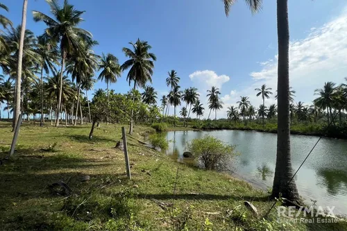 prime-land-bordering-a-natural-water-source-50-meters-from-the-beach-ad030-258