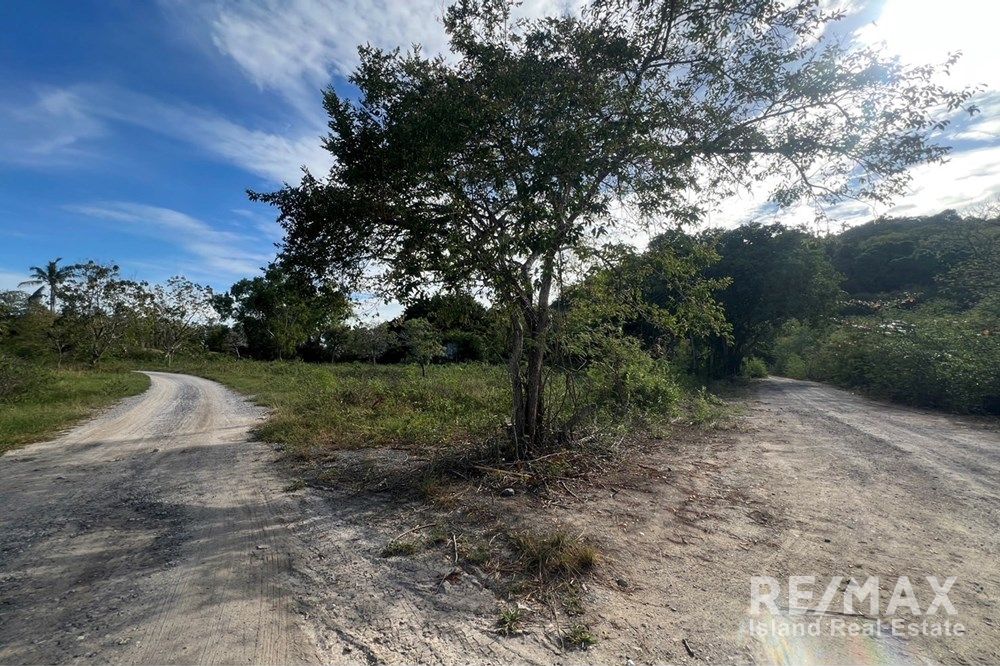  Image 11