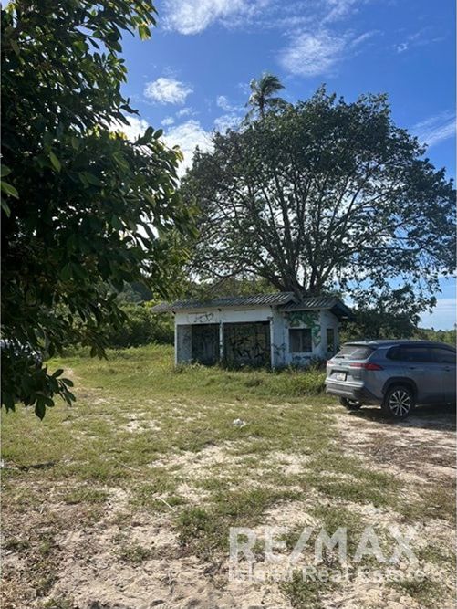  Image 15