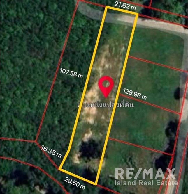  Image 6