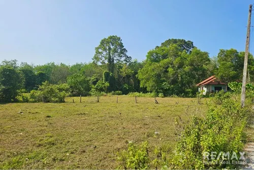 land-for-sale-near-walailak-university-tha-sala-nst-ad030-302e