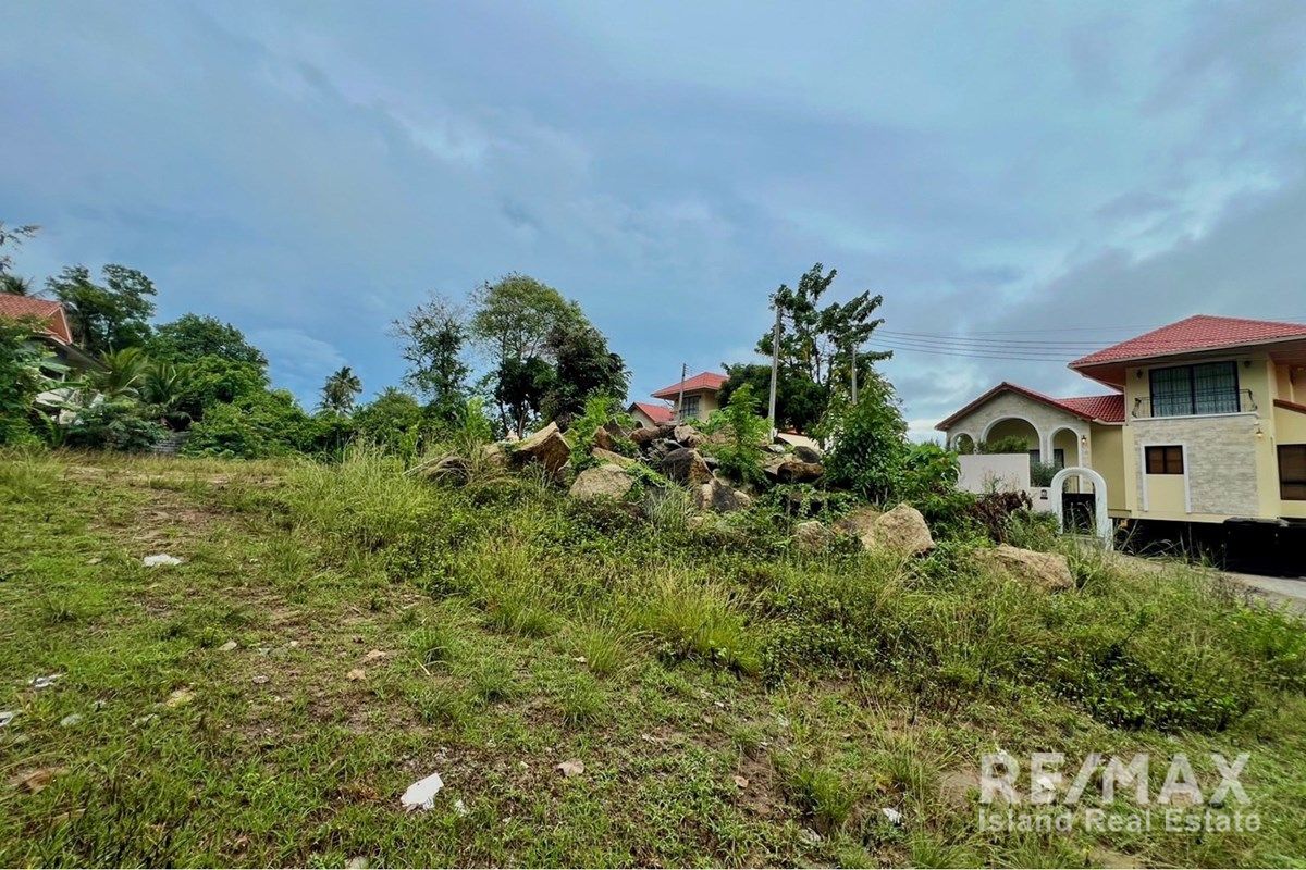  Image 6