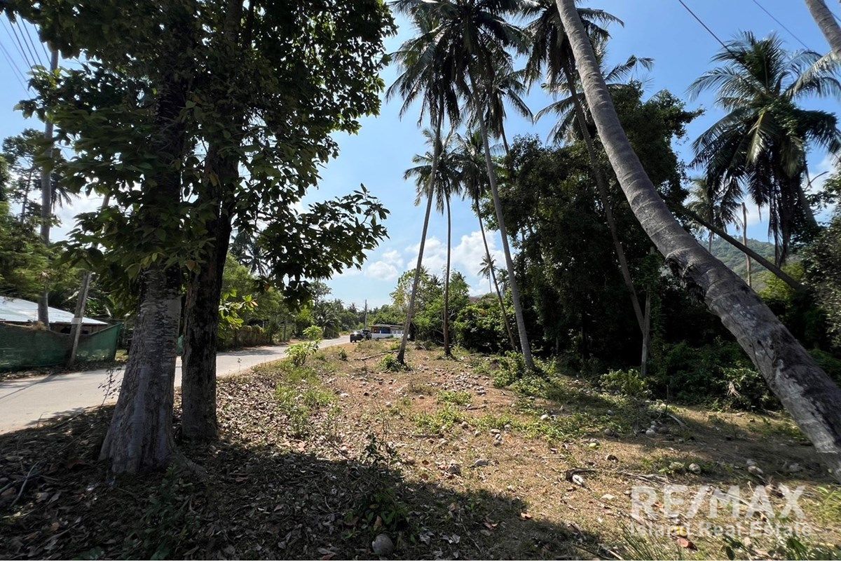  Image 10