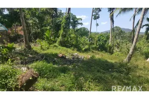 2500-sqm-seaview-land-in-khanom-naern-thae-wada-920121030-88