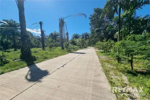 land-for-sale-near-khanom-market-750k-thb-per-rai-920121030-91