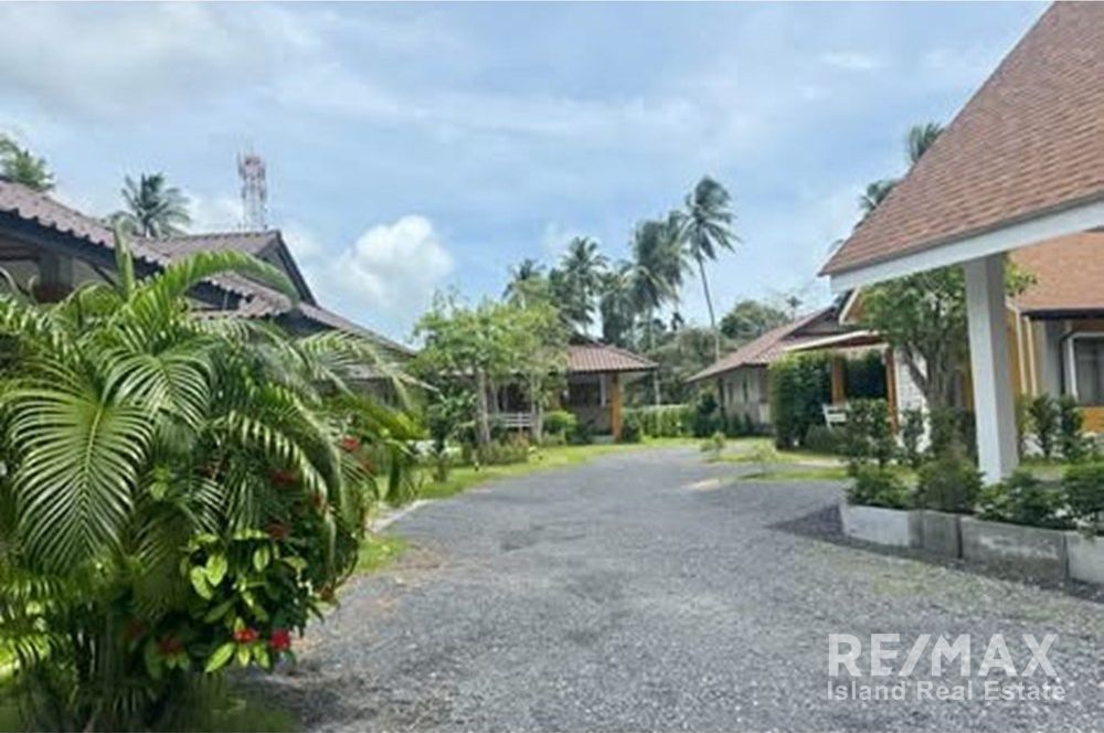  Image 6