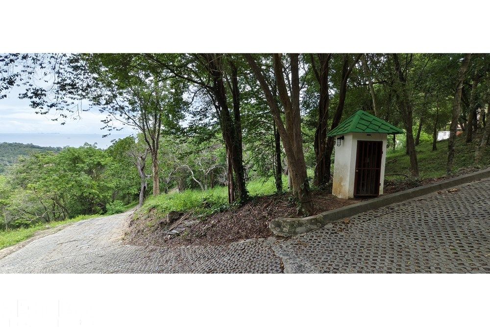  Image 6