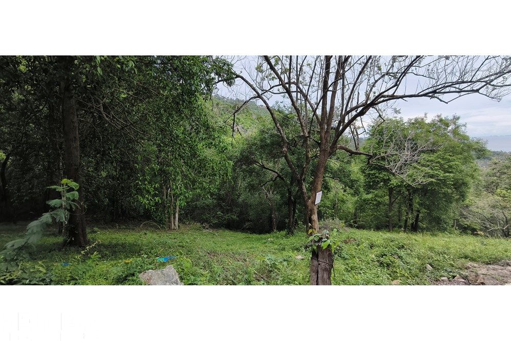  Image 6
