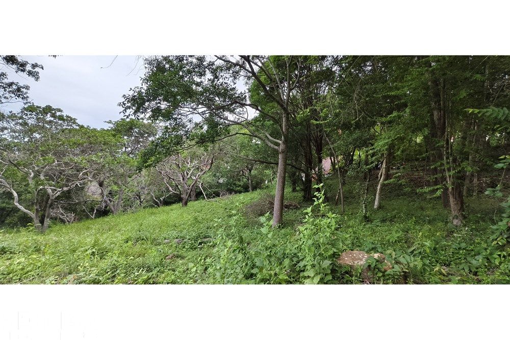  Image 7