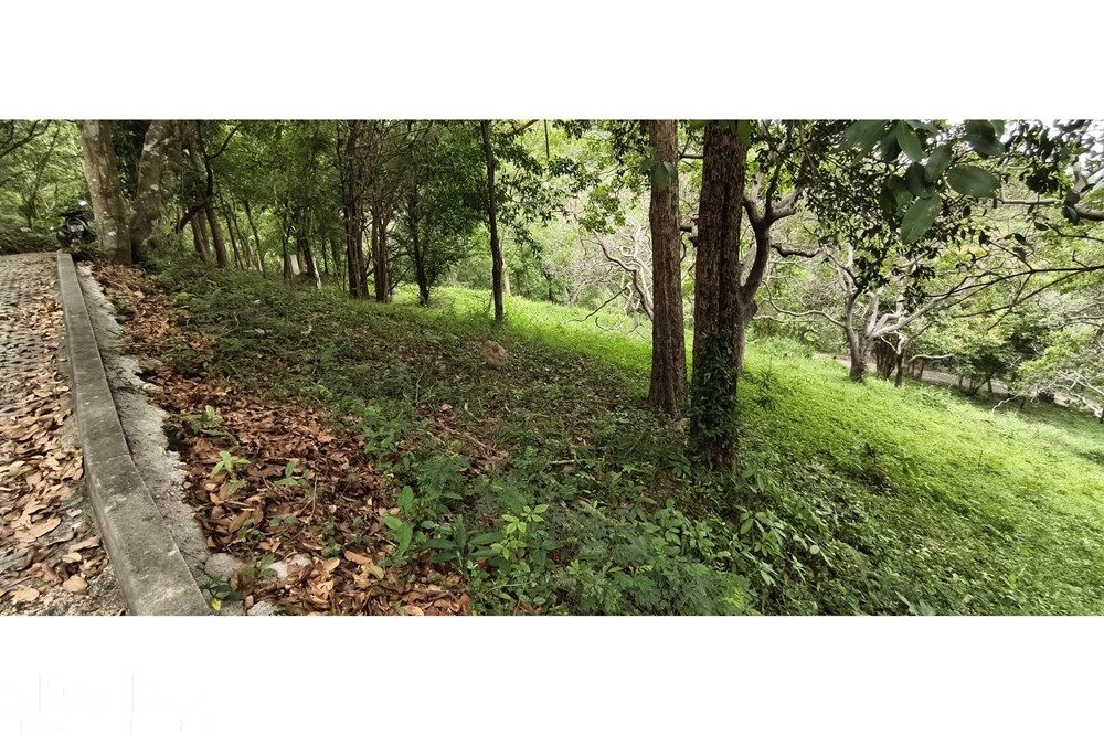  Image 9