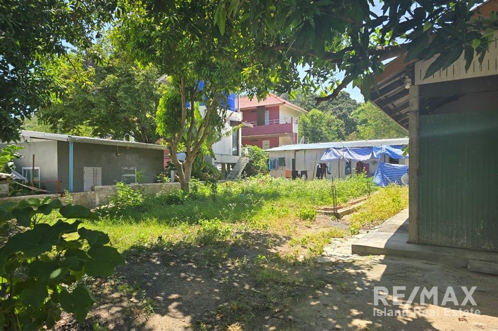  Image 6