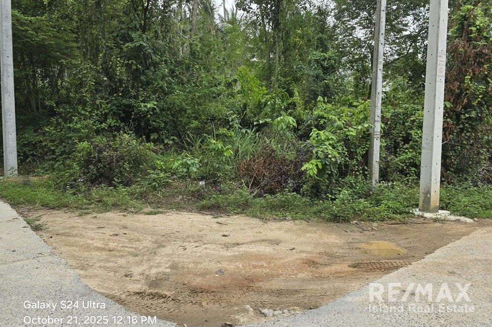  Image 4