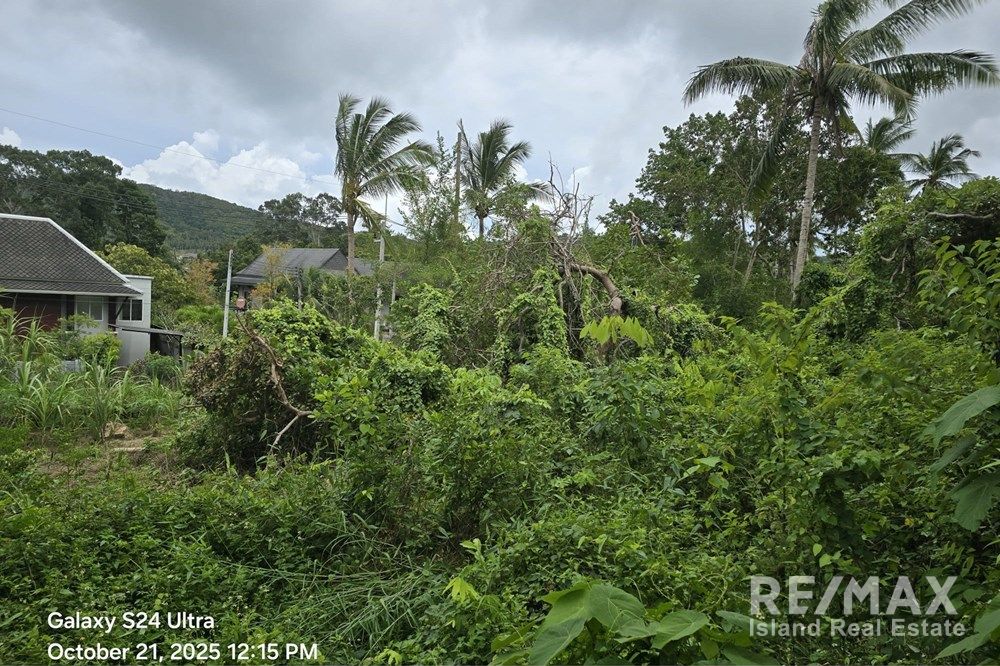  Image 6