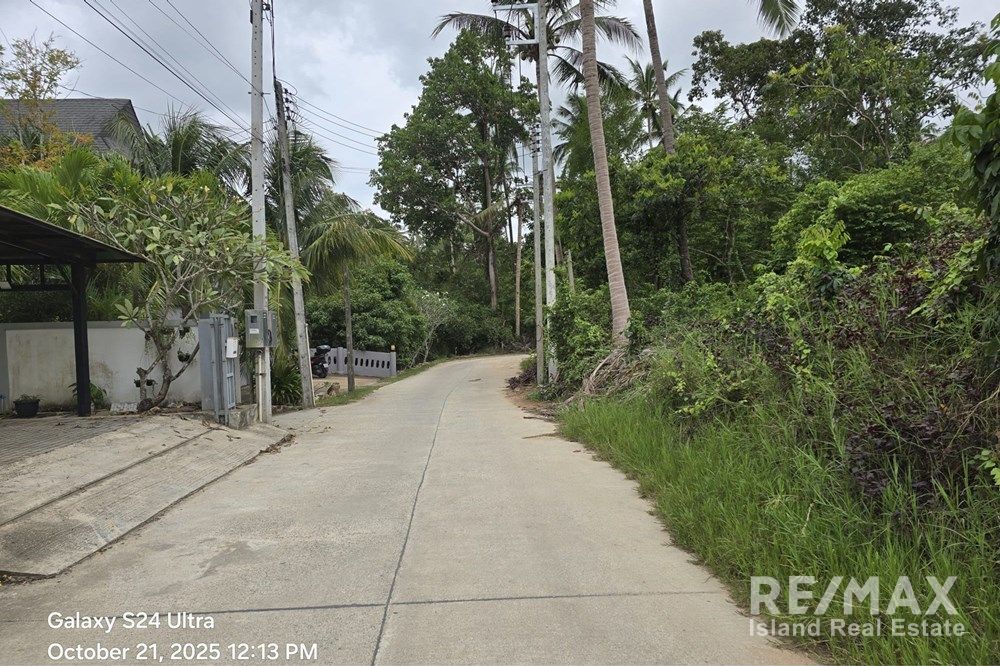  Image 8