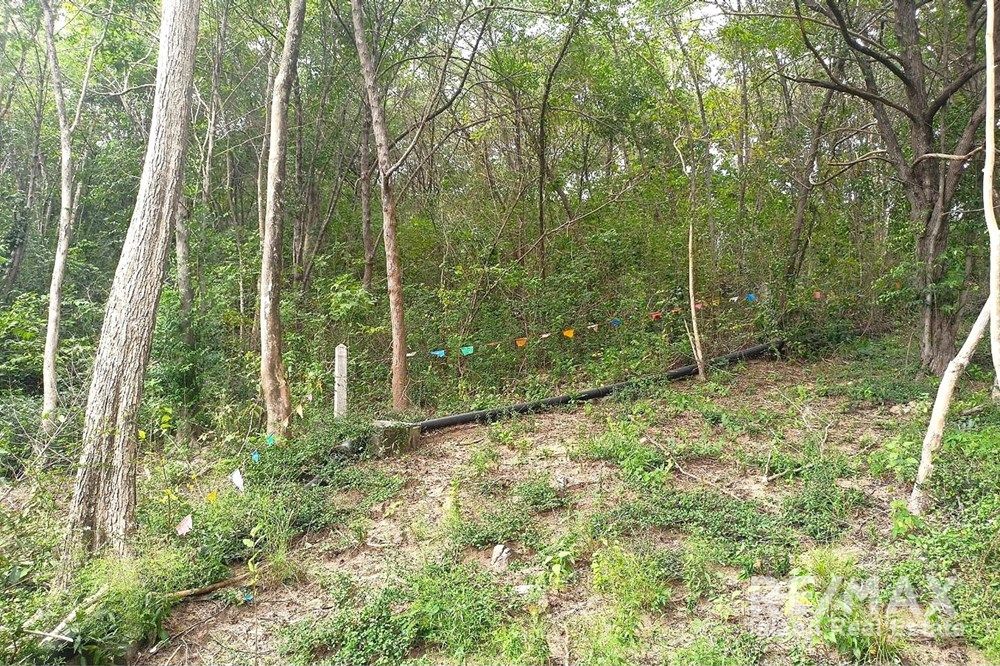  Image 6