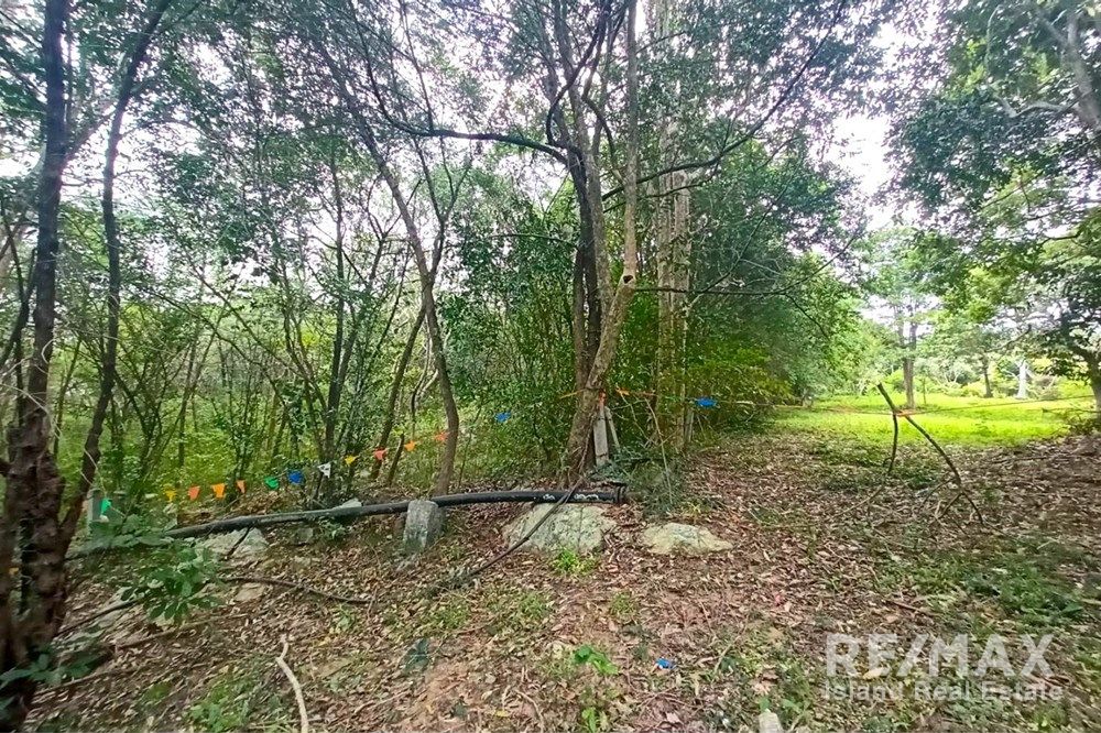  Image 6