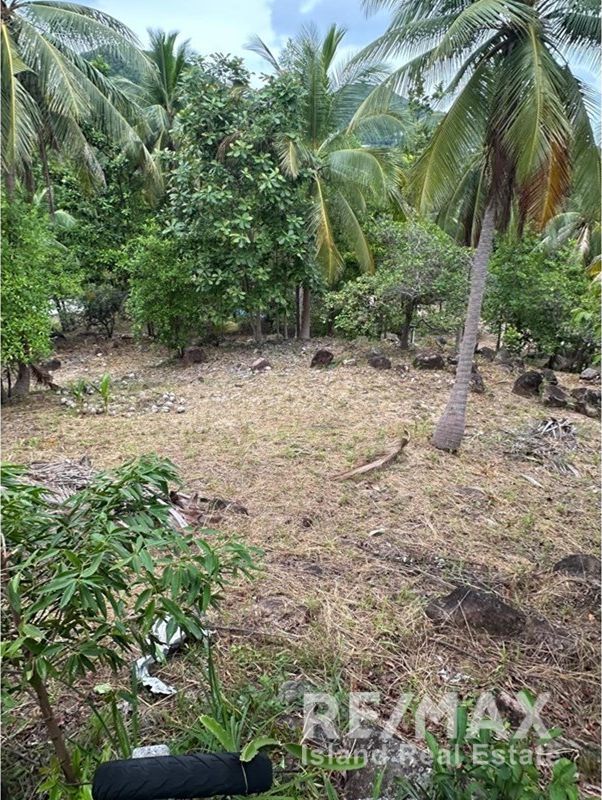  Image 13