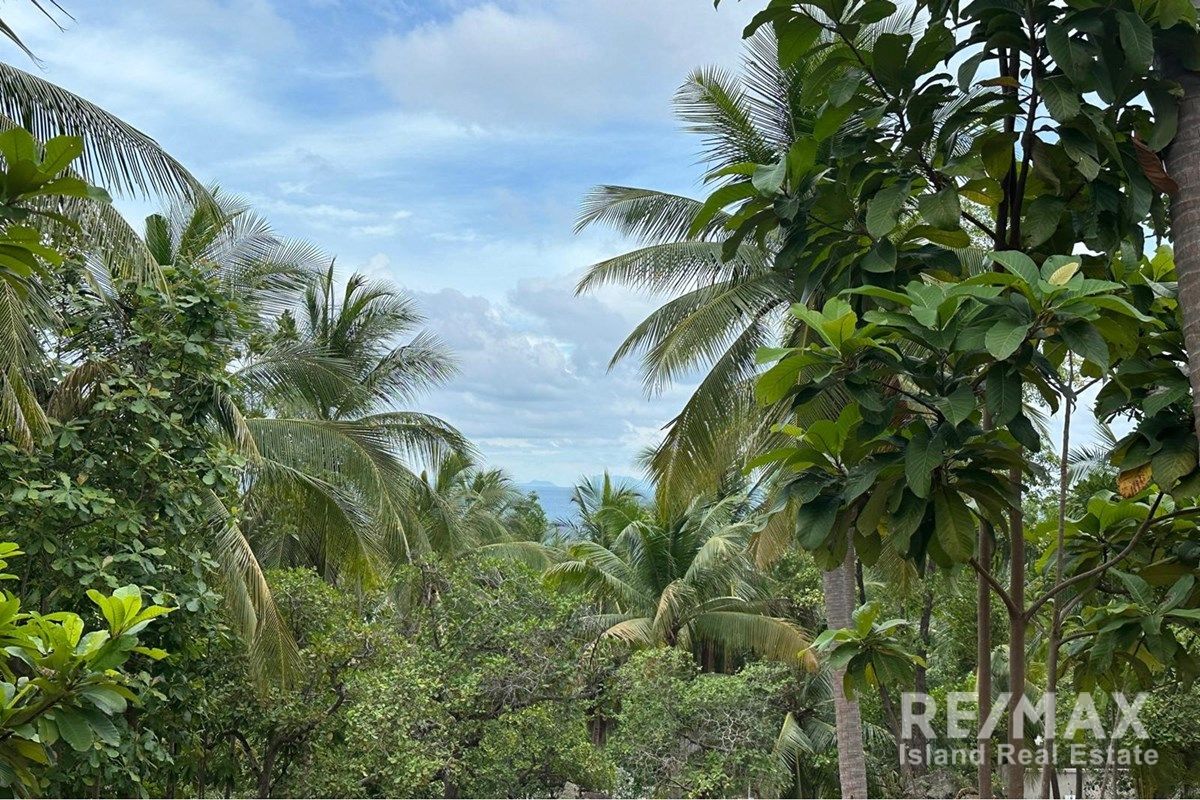  Image 6