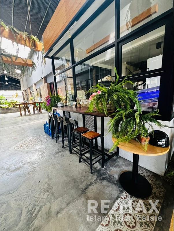  Image 6