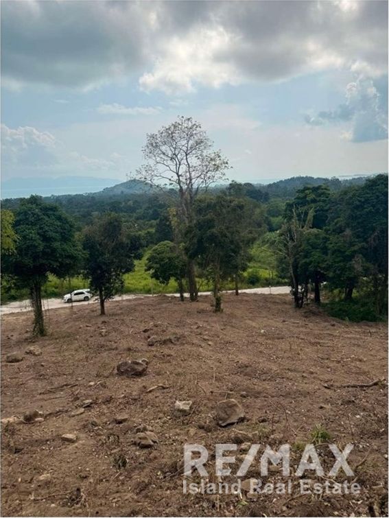  Image 10