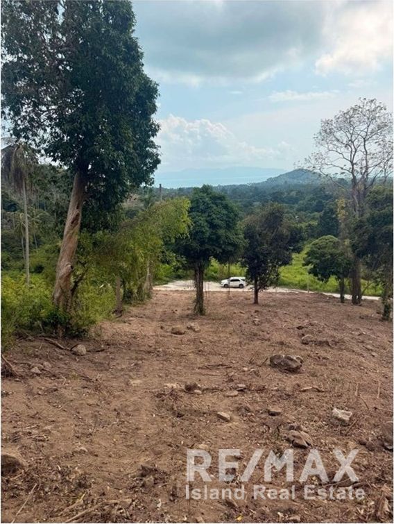  Image 11