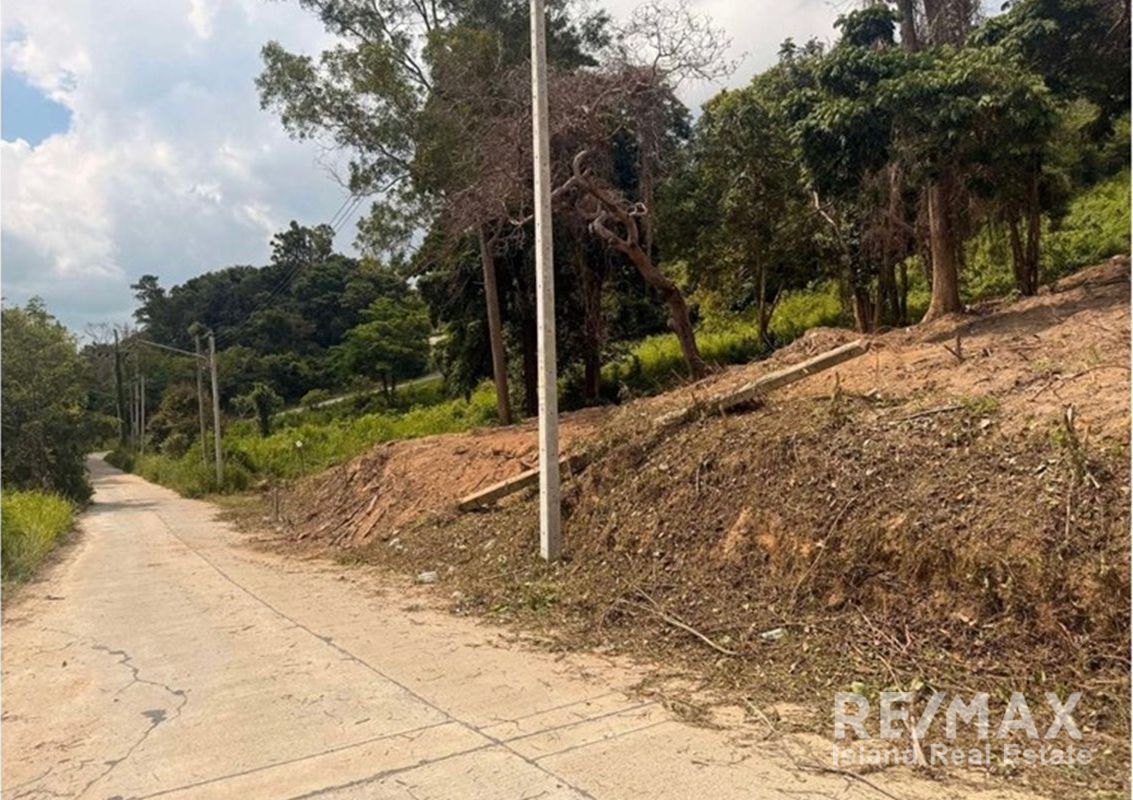  Image 6