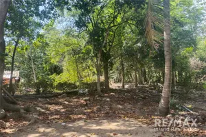 land-for-lease-mountain-view-with-small-waterfall-920121059-4