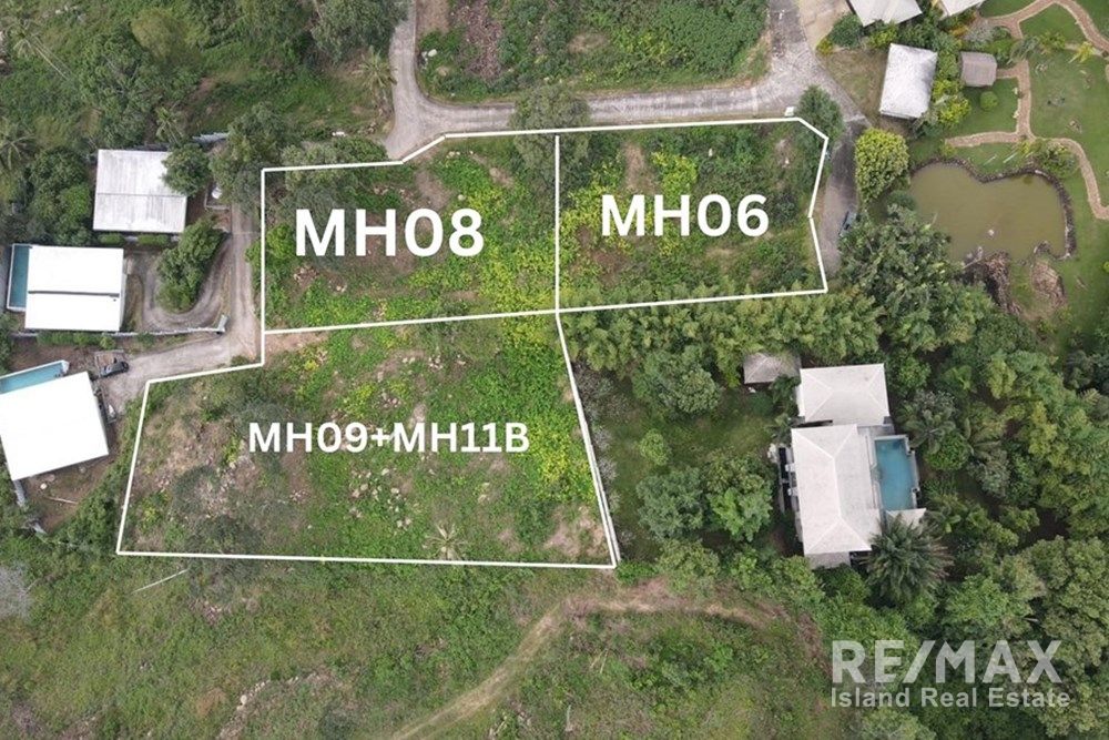  Image 6