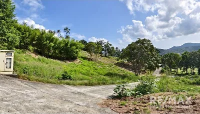 hill-view-plot-subdivided-ideal-for-investment-maenam-ec060-158r