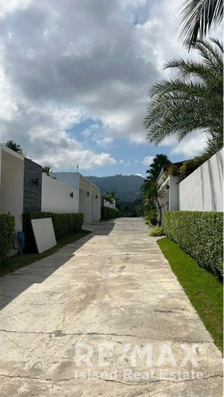  Image 19