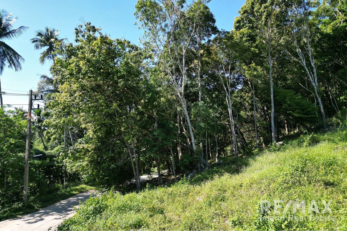  Image 6
